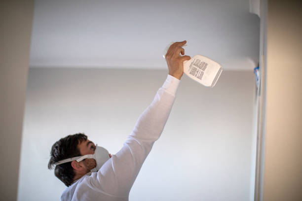 Best Post-Remediation Services in Highland Park, NJ