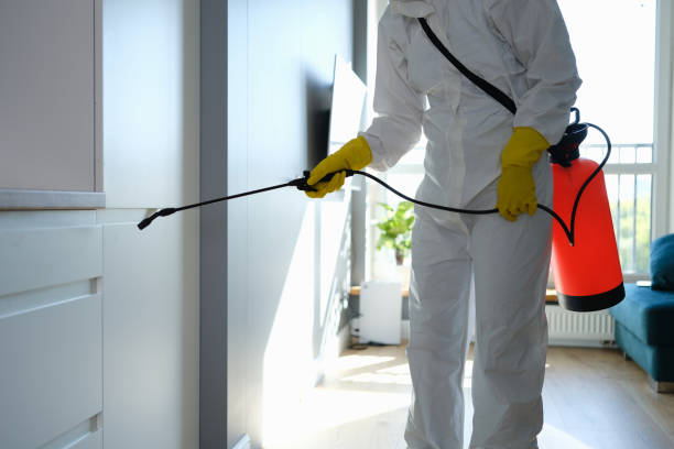 Trusted Highland Park, NJ Mold Remediation Experts