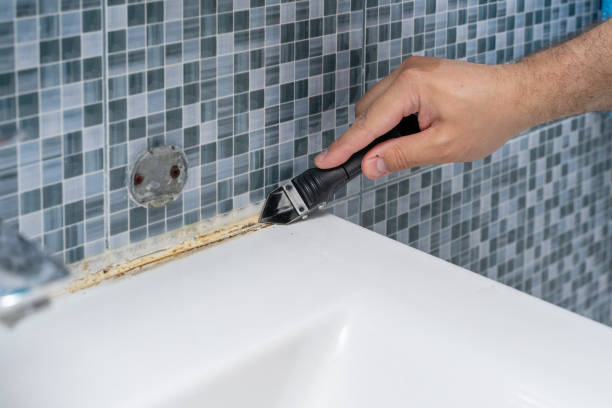 Best DIY Mold Remediation Support Services in Highland Park, NJ